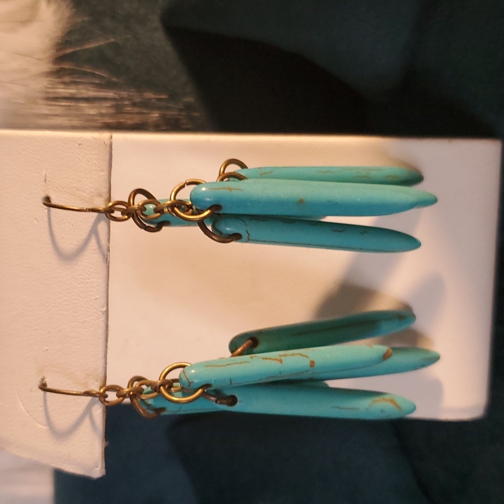 Turquoise Dangle Earrings